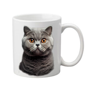 hrneček se skotskou klapouchou kočkou