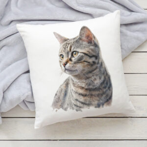Polštář s kočkou - Americká krátkosrstá