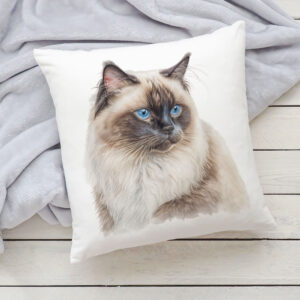 Polštář s kočkou - Barmská 4