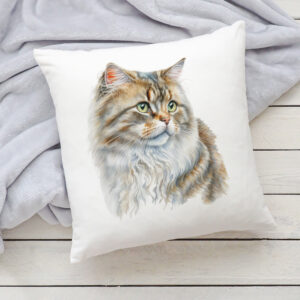 Polštář s kočkou - Britská dlouhosrstá