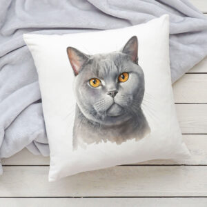 Polštář s kočkou - Britská krátkosrstá 3