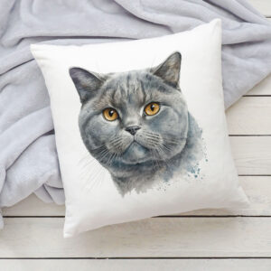 Polštář s kočkou - Britská krátkosrstá 5
